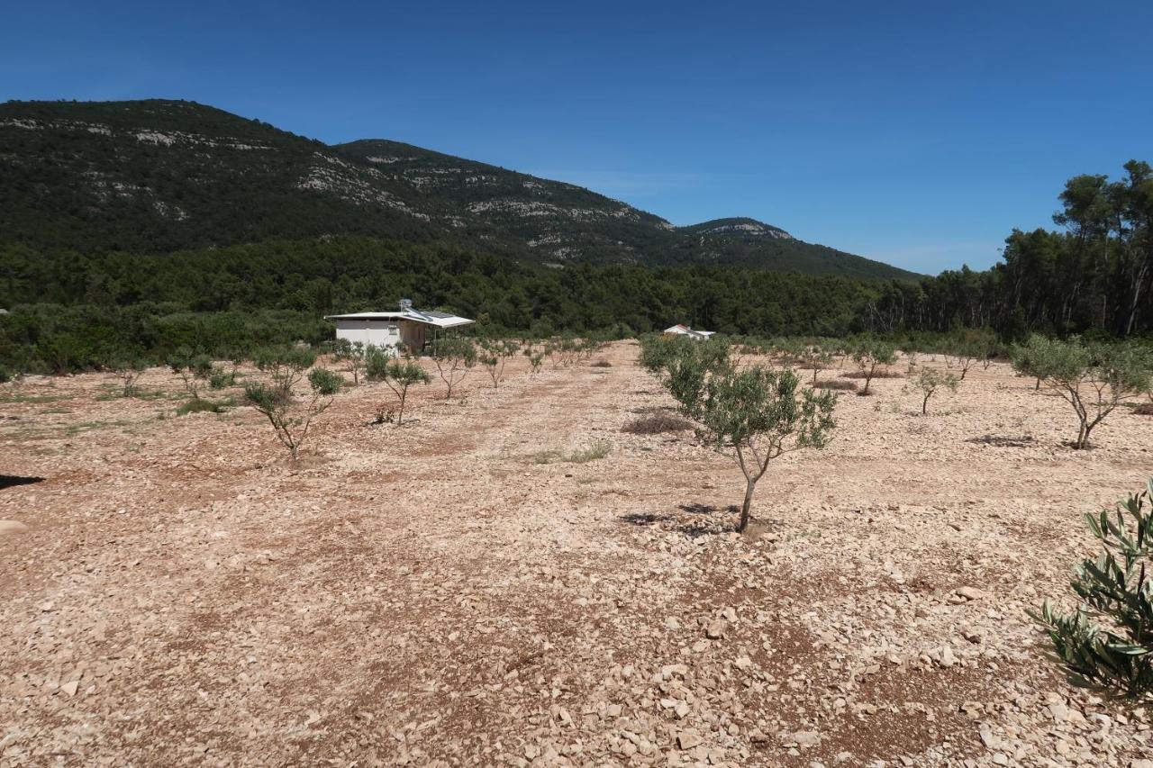 Robinson Olive Tree Huts Villa Cara Exterior photo